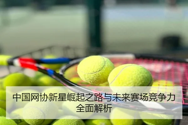 中国网协新星崛起之路与未来赛场竞争力全面解析